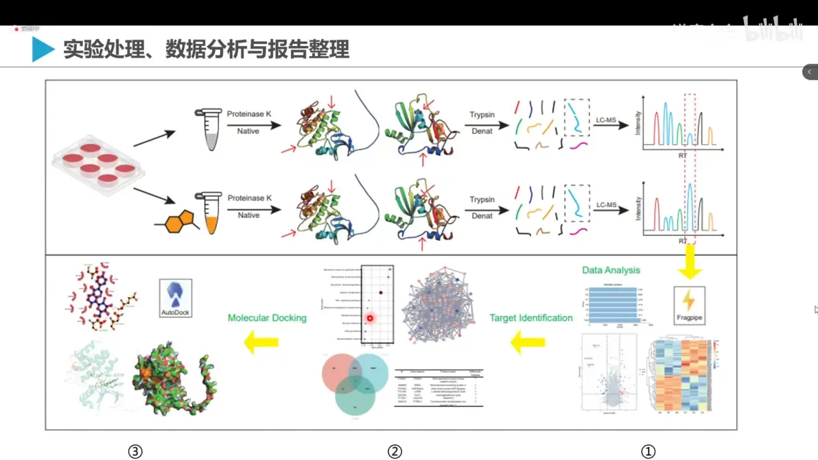 方法学开发与验证