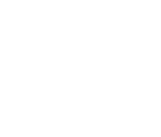 专家技术团队